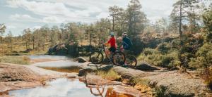 Traditional Cabin By Reinsvatn In Treungen
