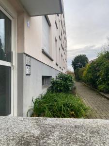 Cozy apartment near Basel Airport