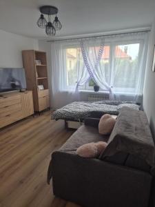 Mieszkanie Słoneczny Sandomierz 2