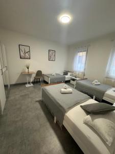 Studio Suite mit Service wie im Hotel