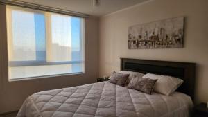 Concepción Centro Apartment