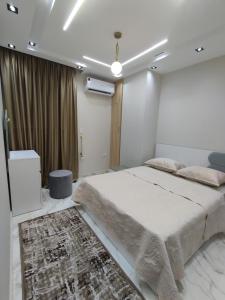 شقه فندقيه بشارع سوريا الرئيسي