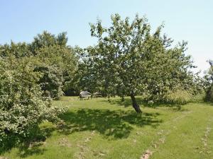 High House Holiday Cottages 1