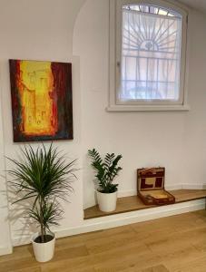 Domus 31 - Colosseum