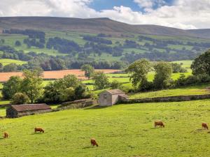 Foal Barn Cottages - The Smithy - Spennithorne