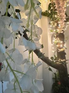 Wanderland by Eden Luxury