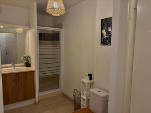 T1 cosy tout équipé, proche Airbus aéroport