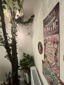 Wanderland by Eden Luxury