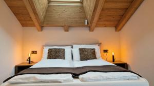 Silva: The Alpine Chalet