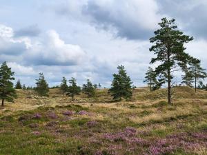 Secluded Haven in Thorup - By Traum Ferienwohnungen