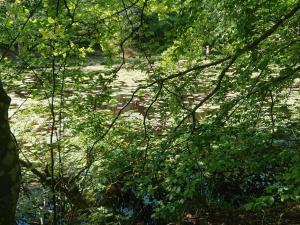 5 star holiday home in Løkken