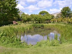 The Milking Parlour - 18436