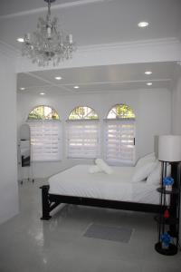 Villa Pool Path to Tortuguero