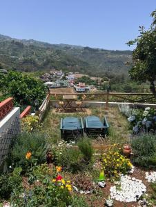 Mirador del Zumacal Alex