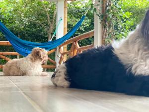 Casa Manglar Ruta spondylus