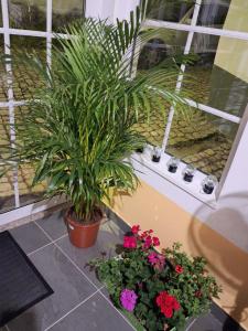 Casa do Vale Encantado