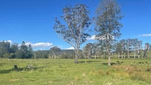 The Tiny Getaway at MiraVale by Tiny Away