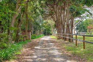 Tamborine Mountain Lodge