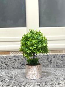 Luxury &cosy apartment in Madinaty