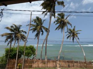 Turtle Sea Guest & Restaurants