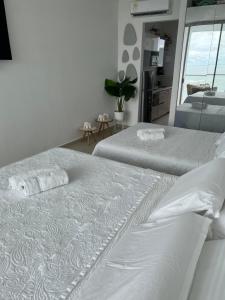 Luxurious New Oceanfront Apartment Santa Marta