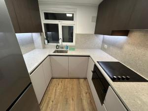 Luxury apartment in Guildford