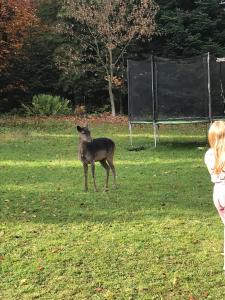 Apartamenty u Jakubika