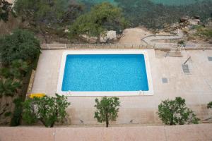 Paraiso Lido Alquilevante