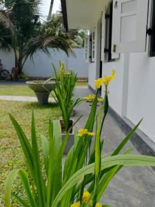 Rosewood Cozy 3-Bedroom Villa & garden,near surf point