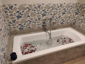 Elegant holiday homes Coorg