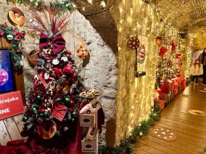 Studio apartman Karli