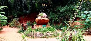 Ella Nature Park Hostel