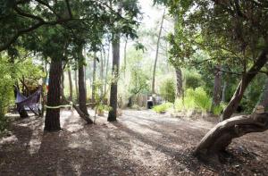 Belle Villa Pointe du Ferret - R170