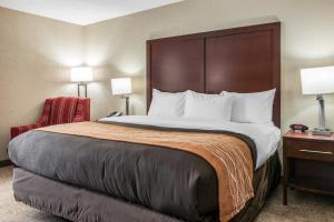 King Room - Non-Smoking room in Comfort Inn Blue Ash North