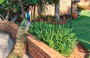 EastClaire Guesthouse