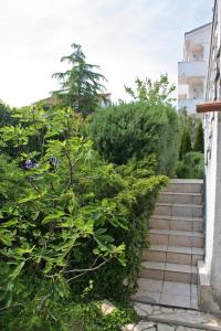 Apartment Porat 5322c