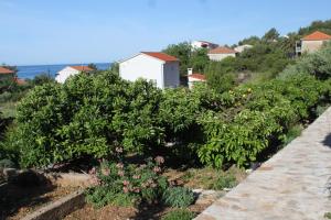 Apartment Zavala 8802b