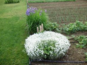 Family Room Knezevi Vinogradi 15024a