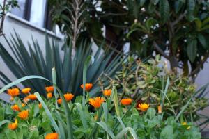 Apartment Zavalatica 189b