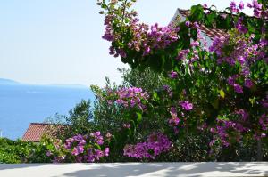 Apartment Mavarstica 16215b