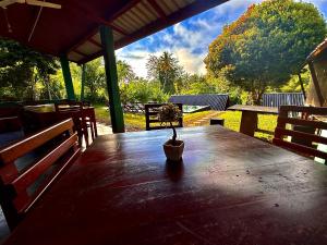 Sinharaja Forest Sanctuary