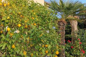 Apartments with parking space Lopar, Rab - 24156