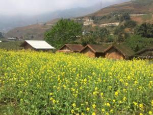 Muong Hoa Valley View Farmstay