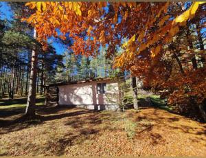 Vikendica Stari Grad