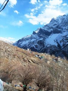 Snow Peaks View Homestay