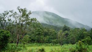 SaffronStays Jerdons Perch