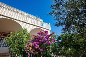 Apartment Pirovac 6447a