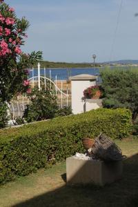 Triple Room Pasman 8223a