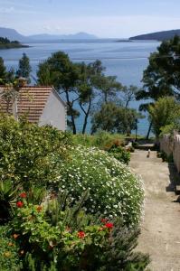 Apartment Lumbarda 4440a