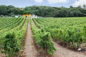 Casa da Nossa Vida - Countryside Retreat
